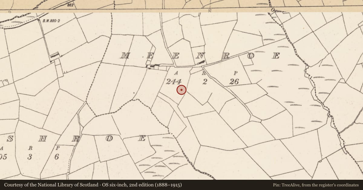 Ordnance Survey six-inch map, 2nd edition (1888–1915) covering the location of Fulacht fia, Meenroe, County Cork, with a pin at the register's coordinates