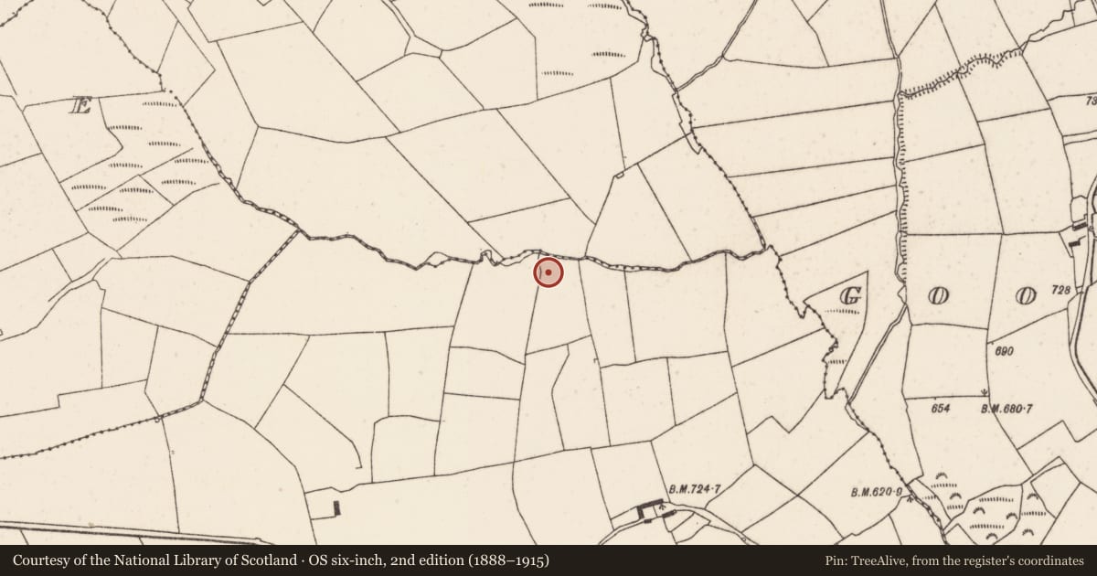 Ordnance Survey six-inch map, 2nd edition (1888–1915) covering the location of Standing stone, Meeneeshal, County Cork, with a pin at the register's coordinates