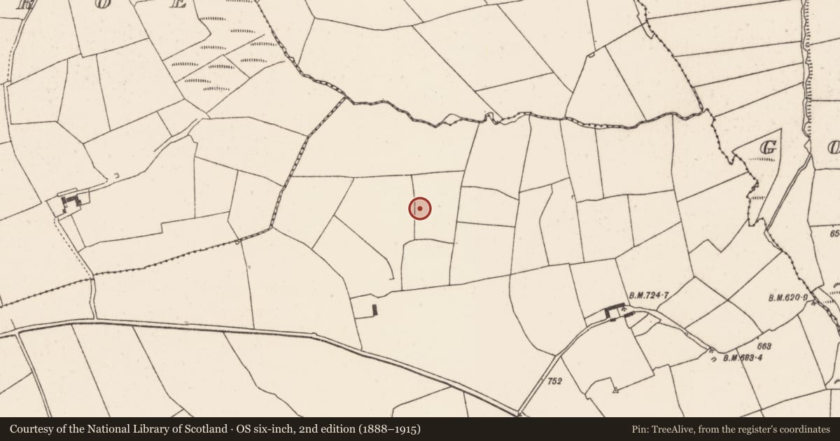 Ordnance Survey six-inch map, 2nd edition (1888–1915) covering the location of Fulacht fia, Meeneeshal, County Cork, with a pin at the register's coordinates