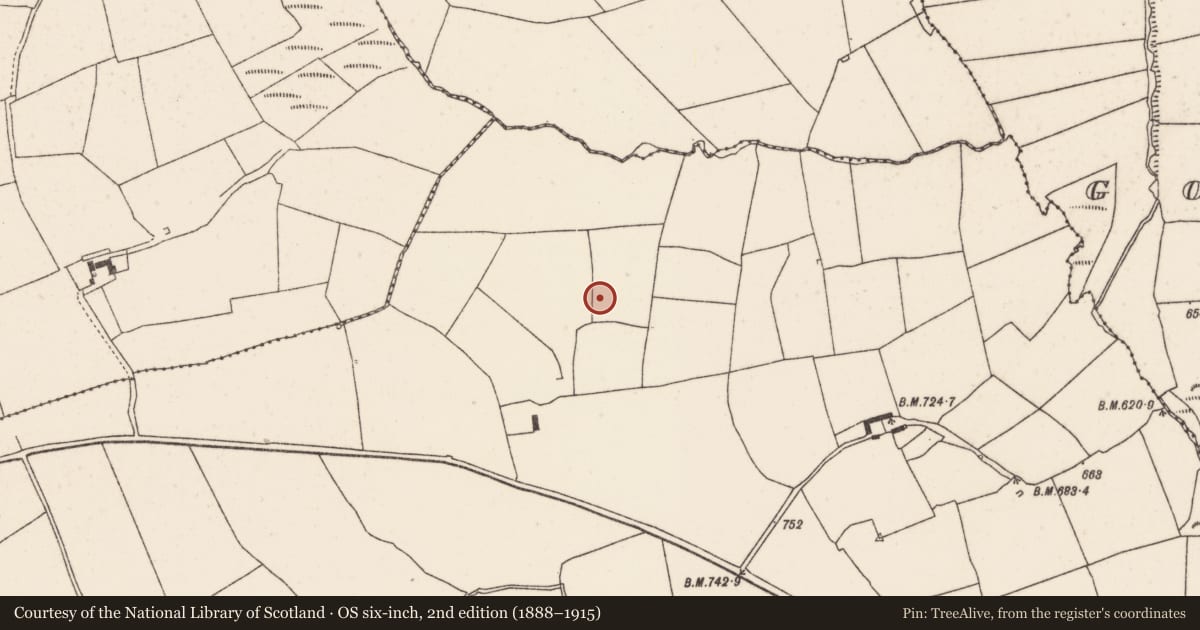 Ordnance Survey six-inch map, 2nd edition (1888–1915) covering the location of Fulacht fia, Meeneeshal, County Cork, with a pin at the register's coordinates