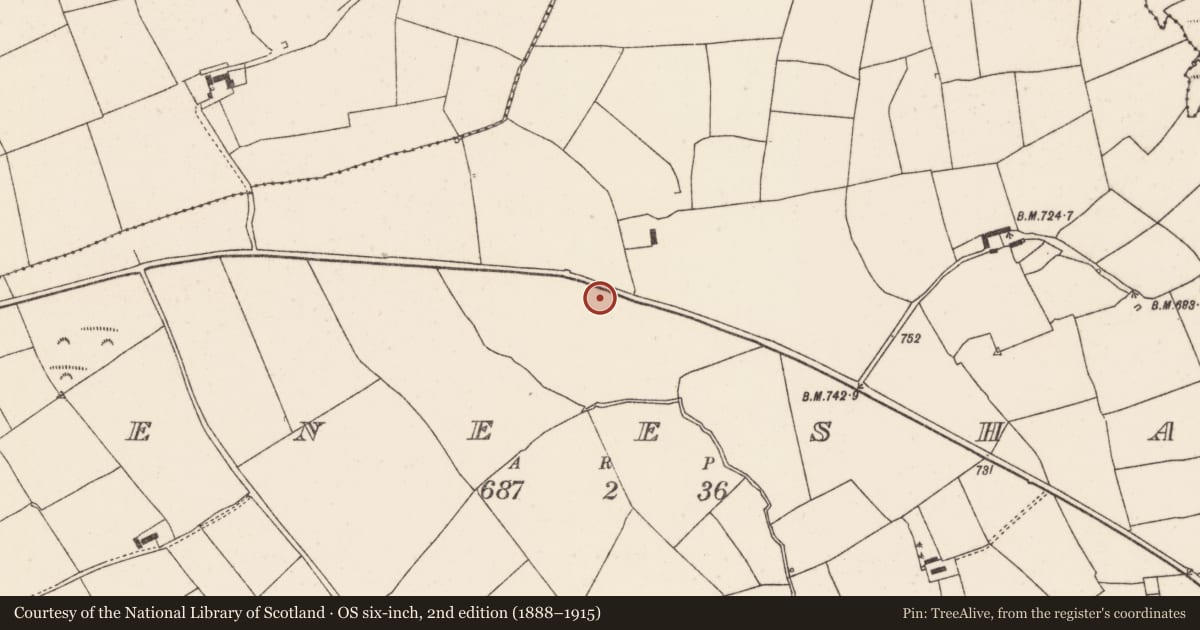 Ordnance Survey six-inch map, 2nd edition (1888–1915) covering the location of Ringfort - rath, Meeneeshal, County Cork, with a pin at the register's coordinates