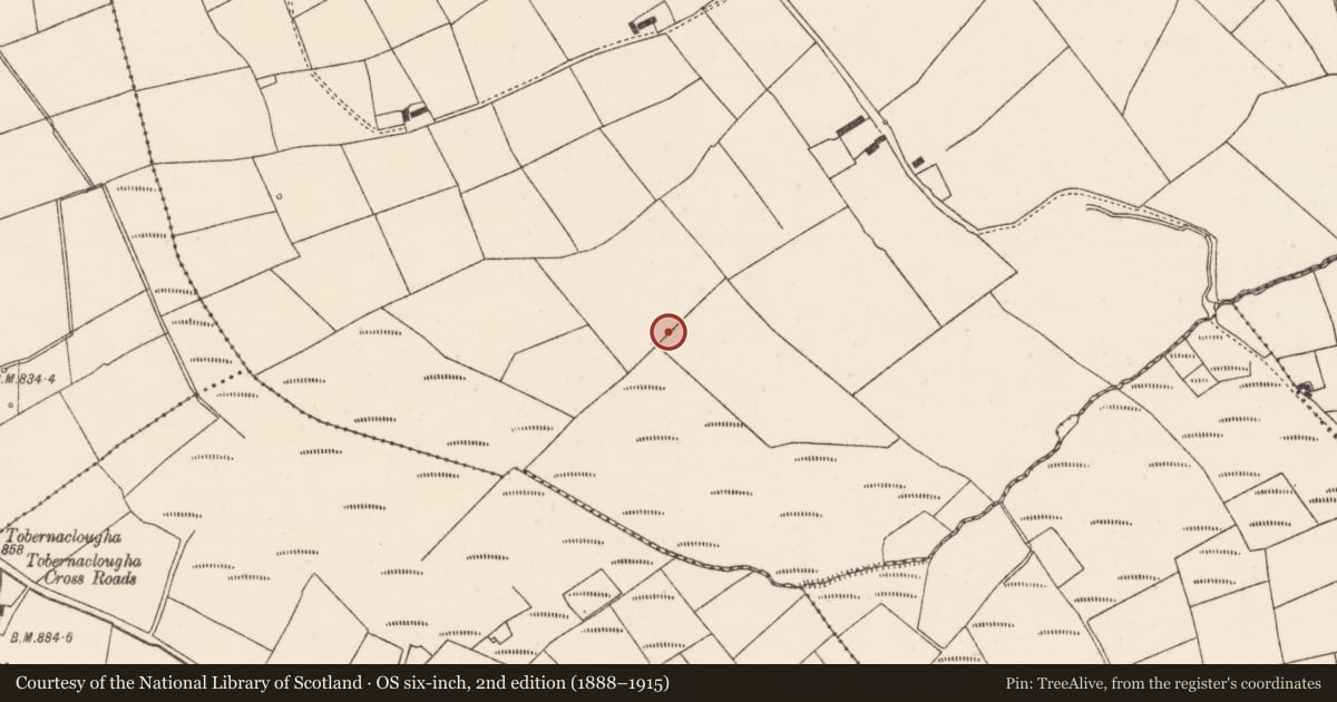 Ordnance Survey six-inch map, 2nd edition (1888–1915) covering the location of Fulacht fia, Meeneeshal, County Cork, with a pin at the register's coordinates