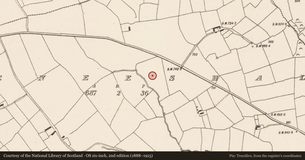 Ordnance Survey six-inch map, 2nd edition (1888–1915) covering the location of Fulacht fia, Meeneeshal, County Cork, with a pin at the register's coordinates
