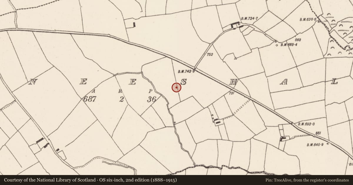 Ordnance Survey six-inch map, 2nd edition (1888–1915) covering the location of Fulacht fia, Meeneeshal, County Cork, with a pin at the register's coordinates