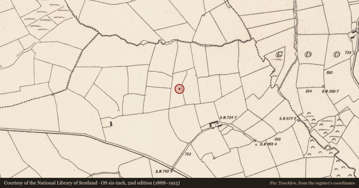 Ordnance Survey six-inch map, 2nd edition (1888–1915) covering the location of Fulacht fia, Meeneeshal, County Cork, with a pin at the register's coordinates