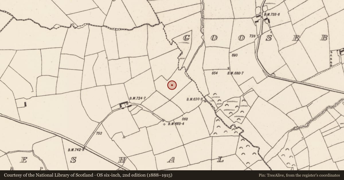 Ordnance Survey six-inch map, 2nd edition (1888–1915) covering the location of Fulacht fia, Meeneeshal, County Cork, with a pin at the register's coordinates