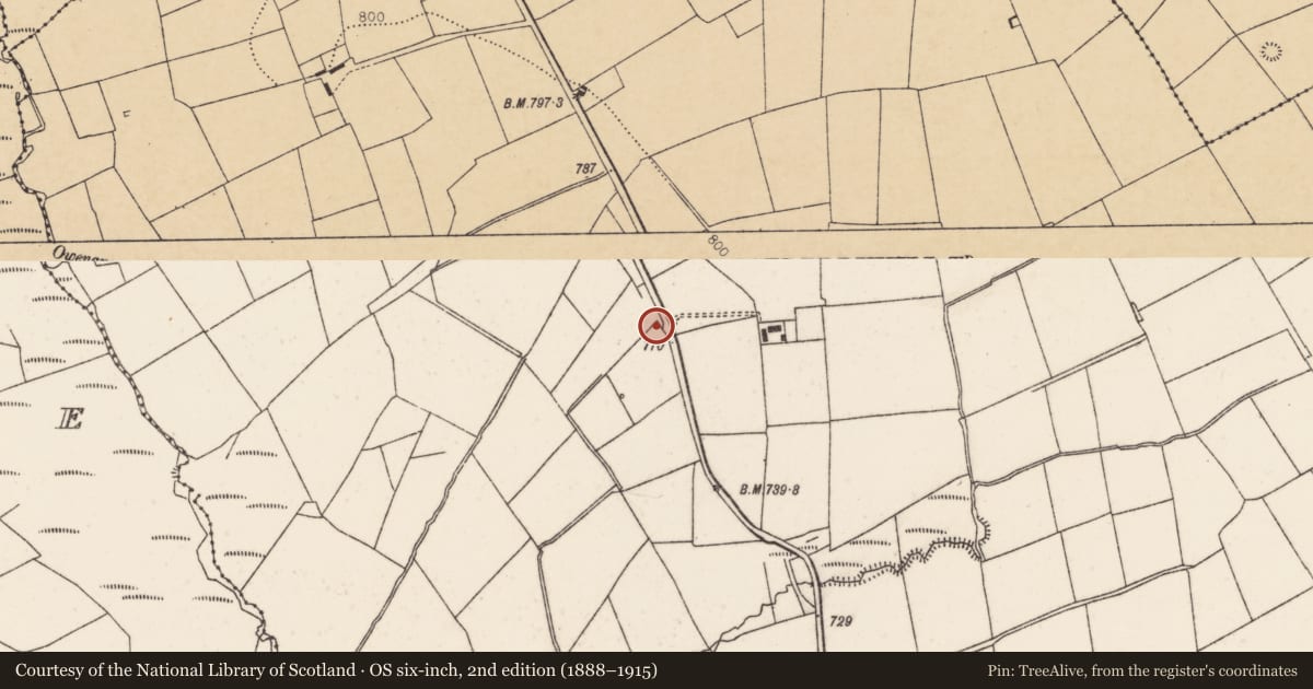 Ordnance Survey six-inch map, 2nd edition (1888–1915) covering the location of Fulacht fia, Gooseberryhill, County Cork, with a pin at the register's coordinates
