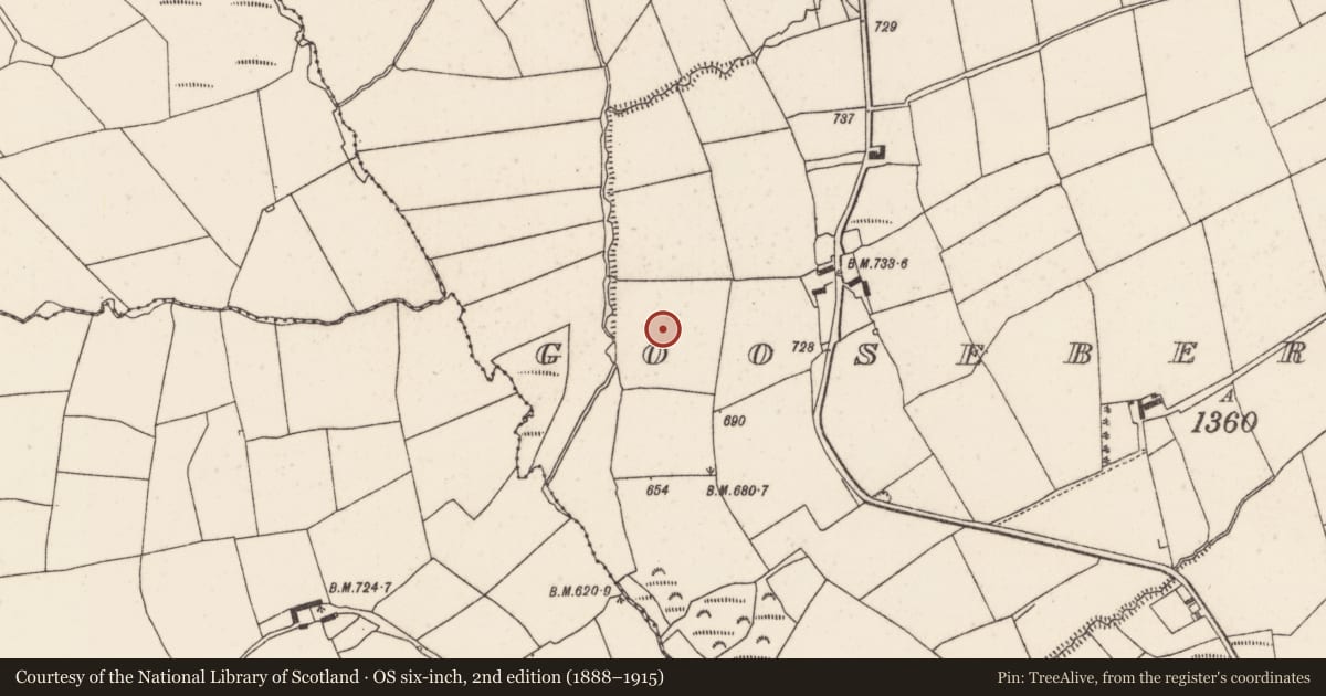 Ordnance Survey six-inch map, 2nd edition (1888–1915) covering the location of Fulacht fia, Gooseberryhill, County Cork, with a pin at the register's coordinates