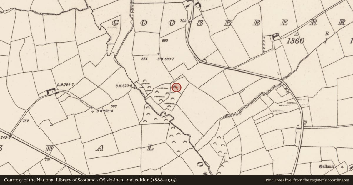 Ordnance Survey six-inch map, 2nd edition (1888–1915) covering the location of Fulacht fia, Gooseberryhill, County Cork, with a pin at the register's coordinates