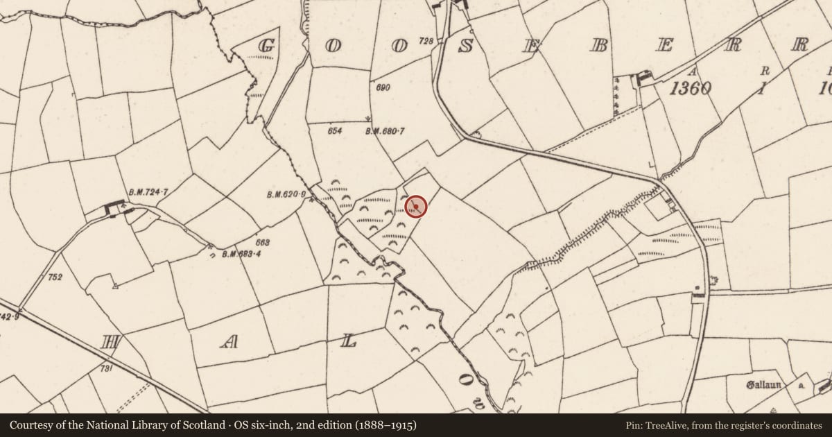 Ordnance Survey six-inch map, 2nd edition (1888–1915) covering the location of Fulacht fia, Gooseberryhill, County Cork, with a pin at the register's coordinates