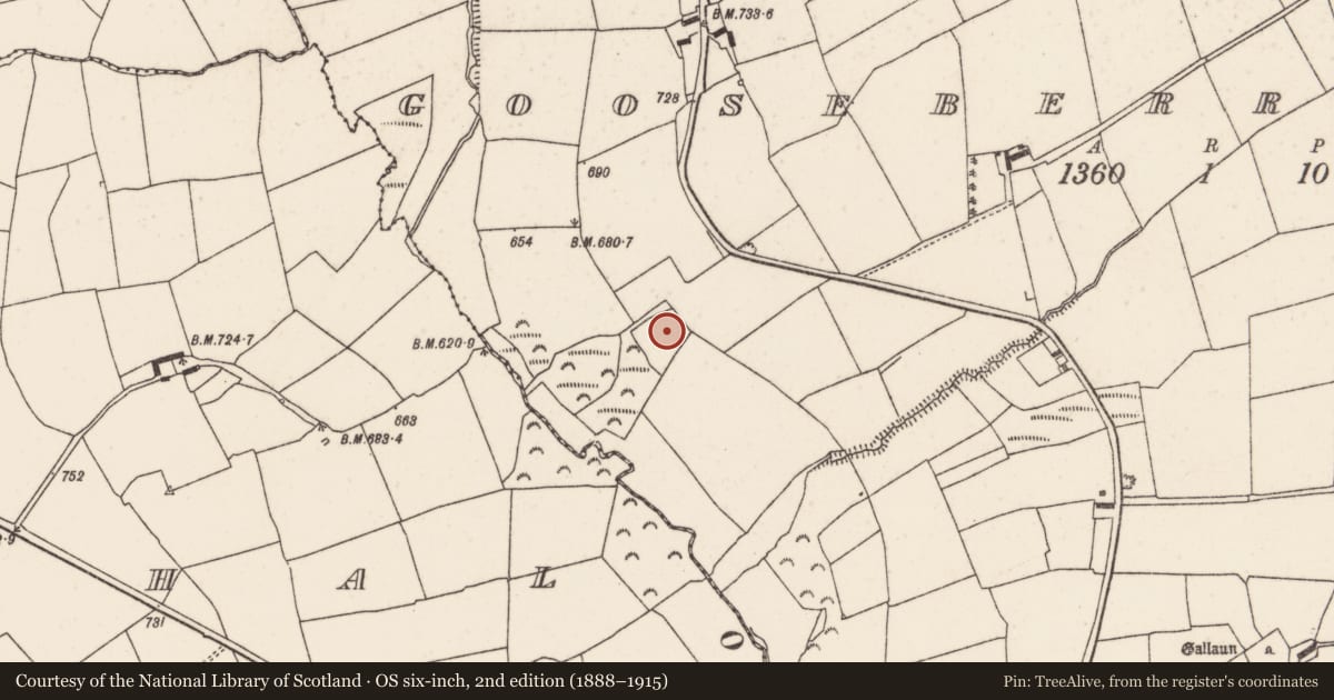 Ordnance Survey six-inch map, 2nd edition (1888–1915) covering the location of Enclosure, Gooseberryhill, County Cork, with a pin at the register's coordinates