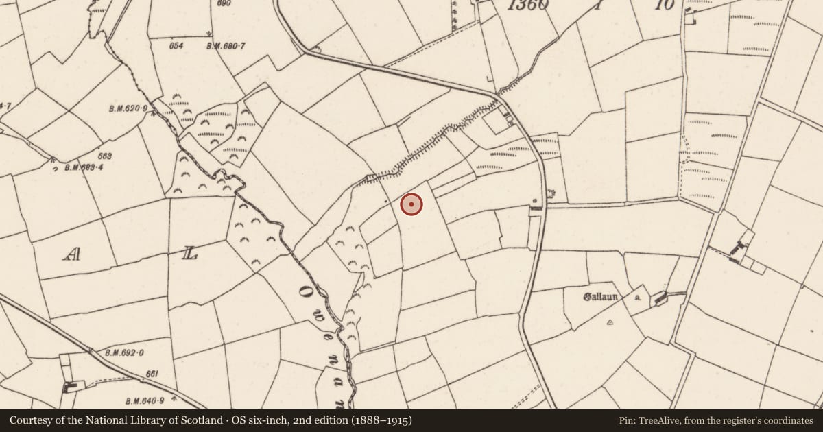 Ordnance Survey six-inch map, 2nd edition (1888–1915) covering the location of Fulacht fia, Gooseberryhill, County Cork, with a pin at the register's coordinates