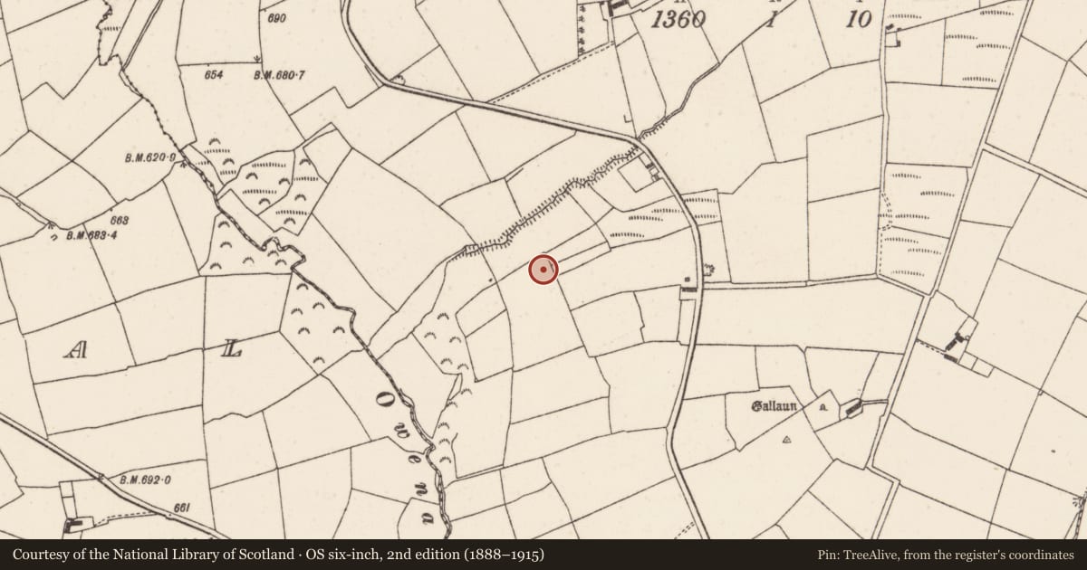 Ordnance Survey six-inch map, 2nd edition (1888–1915) covering the location of Fulacht fia, Gooseberryhill, County Cork, with a pin at the register's coordinates