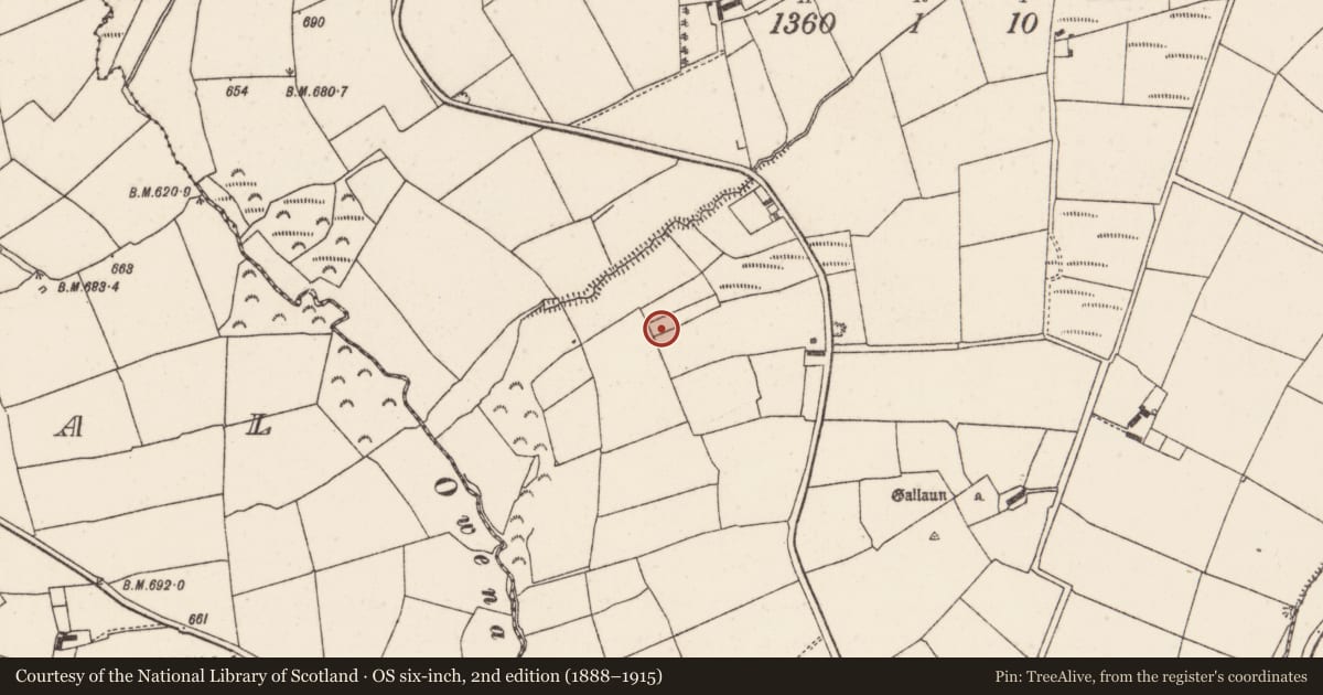 Ordnance Survey six-inch map, 2nd edition (1888–1915) covering the location of Fulacht fia, Gooseberryhill, County Cork, with a pin at the register's coordinates