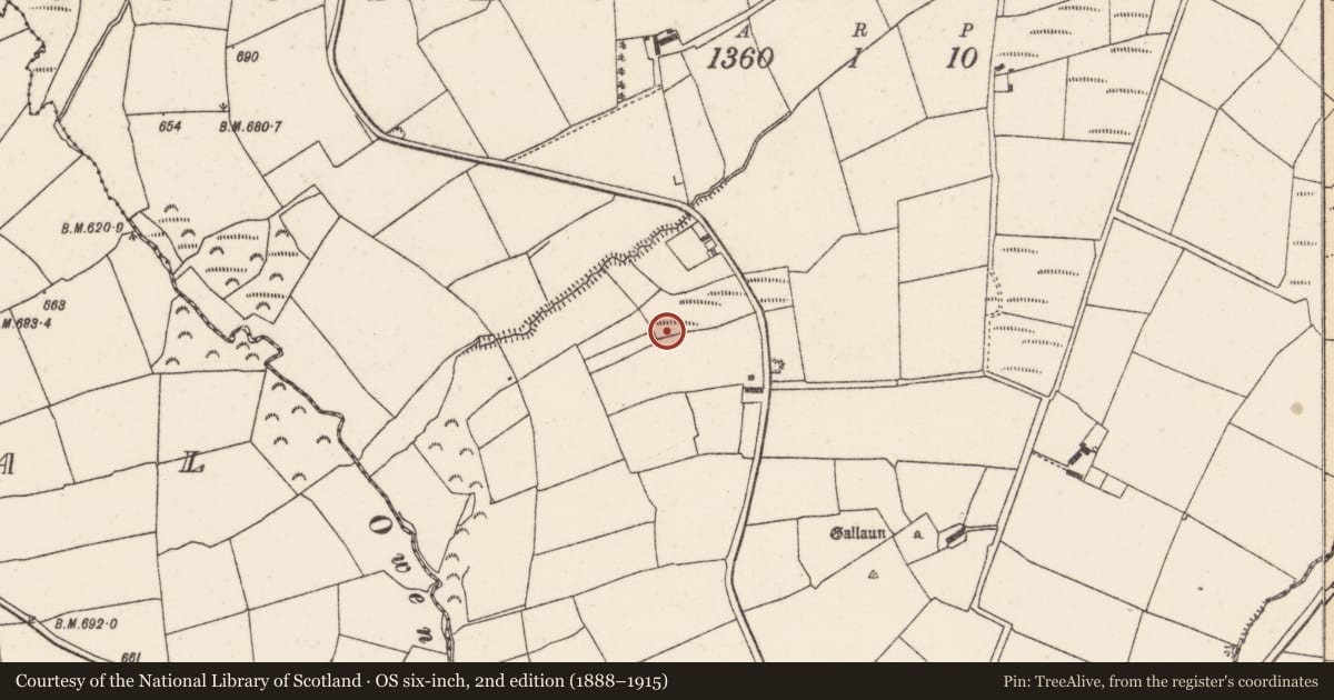 Ordnance Survey six-inch map, 2nd edition (1888–1915) covering the location of Fulacht fia, Gooseberryhill, County Cork, with a pin at the register's coordinates