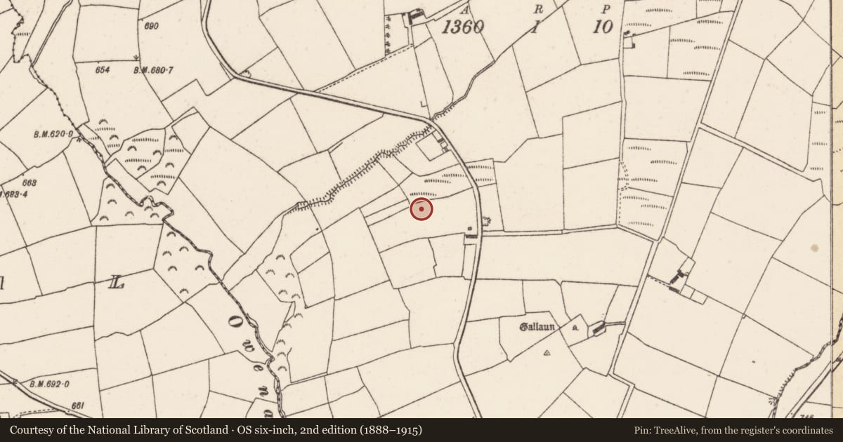 Ordnance Survey six-inch map, 2nd edition (1888–1915) covering the location of Fulacht fia, Gooseberryhill, County Cork, with a pin at the register's coordinates