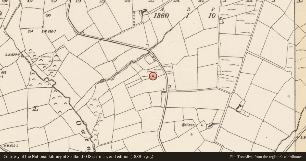 Ordnance Survey six-inch map, 2nd edition (1888–1915) covering the location of Fulacht fia, Gooseberryhill, County Cork, with a pin at the register's coordinates