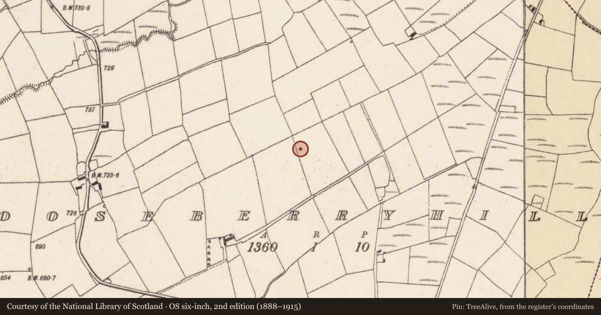 Ordnance Survey six-inch map, 2nd edition (1888–1915) covering the location of Fulacht fia, Gooseberryhill, County Cork, with a pin at the register's coordinates