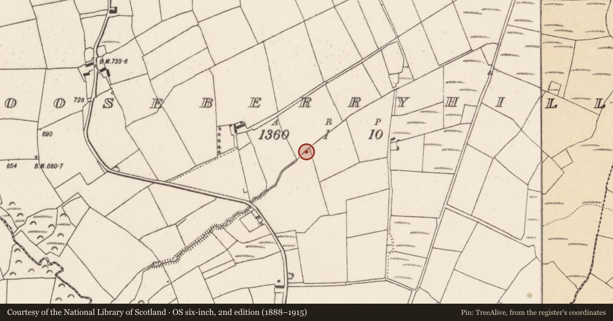 Ordnance Survey six-inch map, 2nd edition (1888–1915) covering the location of Fulacht fia, Gooseberryhill, County Cork, with a pin at the register's coordinates