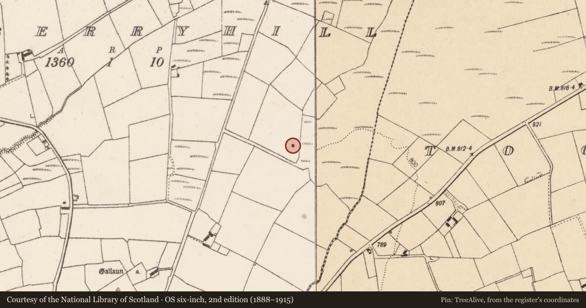 Ordnance Survey six-inch map, 2nd edition (1888–1915) covering the location of Fulacht fia, Gooseberryhill, County Cork, with a pin at the register's coordinates