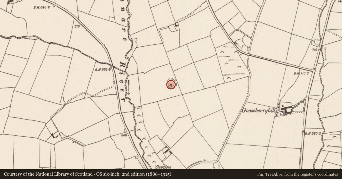Ordnance Survey six-inch map, 2nd edition (1888–1915) covering the location of Ringfort - rath, Gooseberryhill, County Cork, with a pin at the register's coordinates