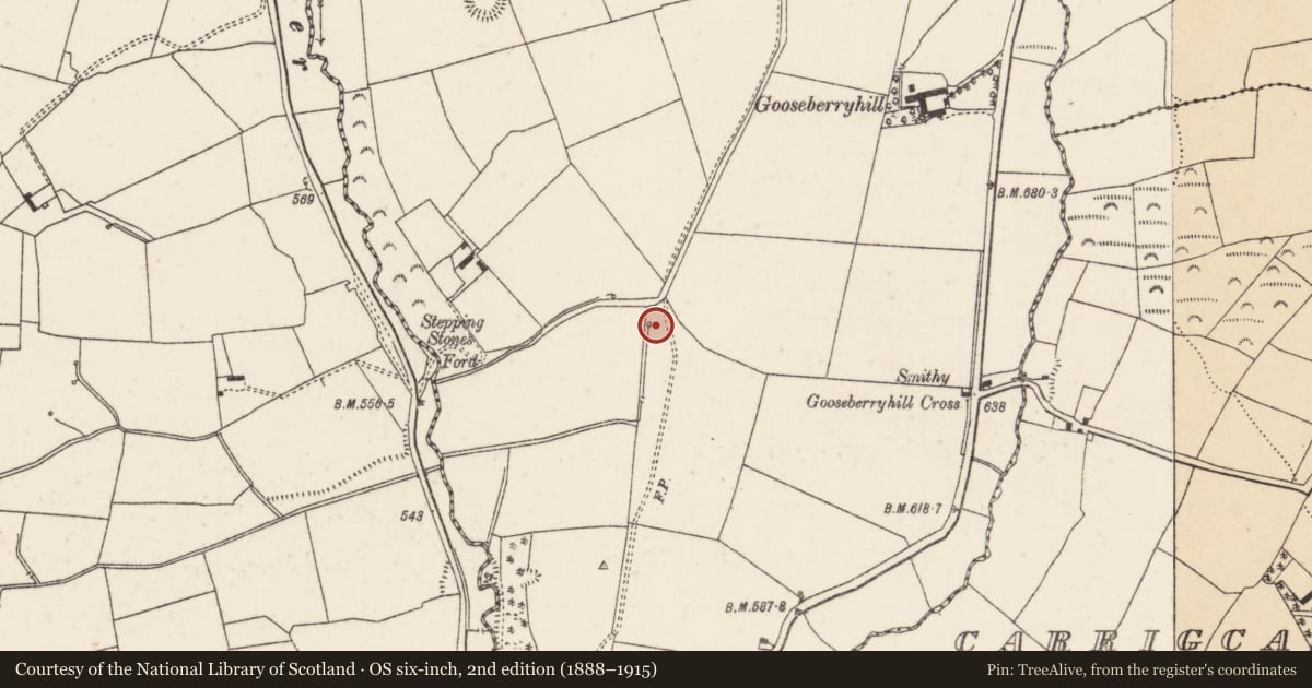 Ordnance Survey six-inch map, 2nd edition (1888–1915) covering the location of Fulacht fia, Gooseberryhill, County Cork, with a pin at the register's coordinates