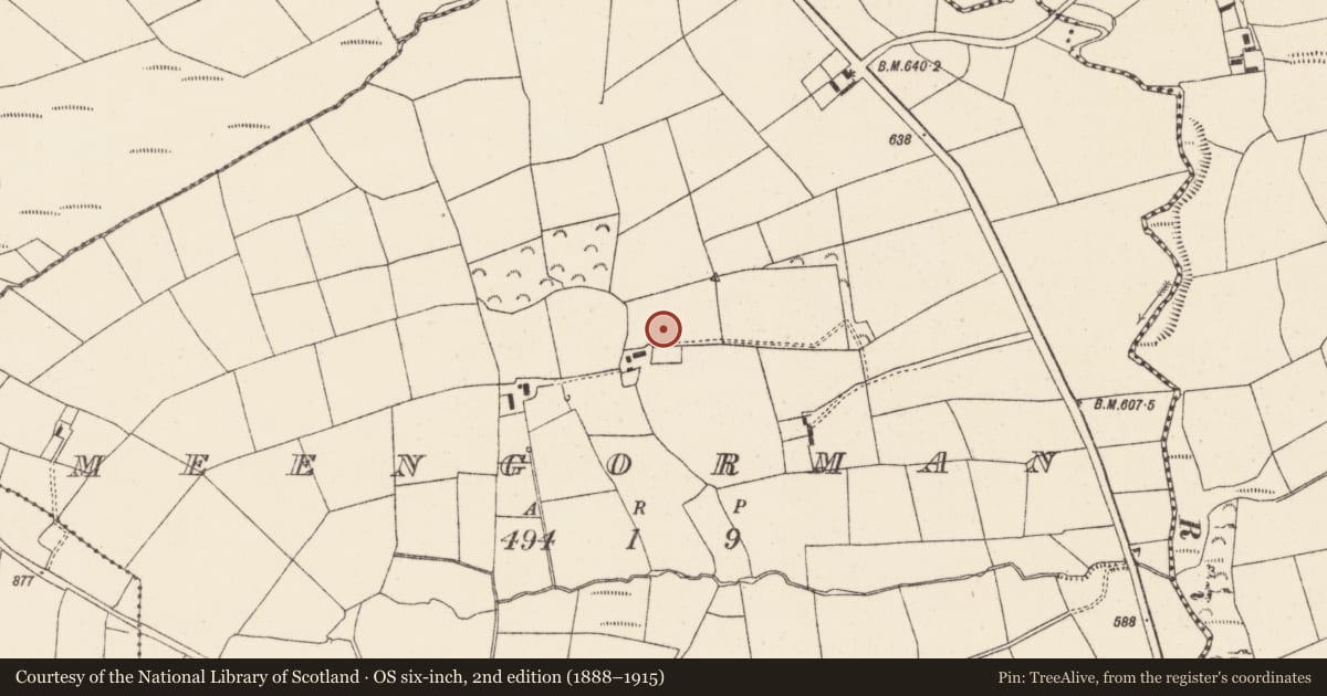 Ordnance Survey six-inch map, 2nd edition (1888–1915) covering the location of Standing stone, Meengorman, County Cork, with a pin at the register's coordinates