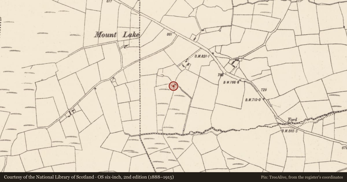 Ordnance Survey six-inch map, 2nd edition (1888–1915) covering the location of Fulacht fia, Meengorman, County Cork, with a pin at the register's coordinates