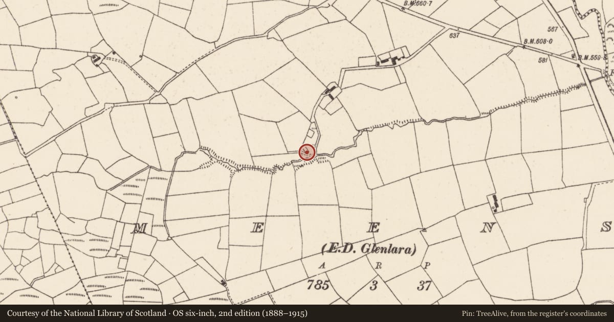 Ordnance Survey six-inch map, 2nd edition (1888–1915) covering the location of Kiln - lime, Meens (Duhallow By., Clonfert Par.), County Cork, with a pin at the register's coordinates