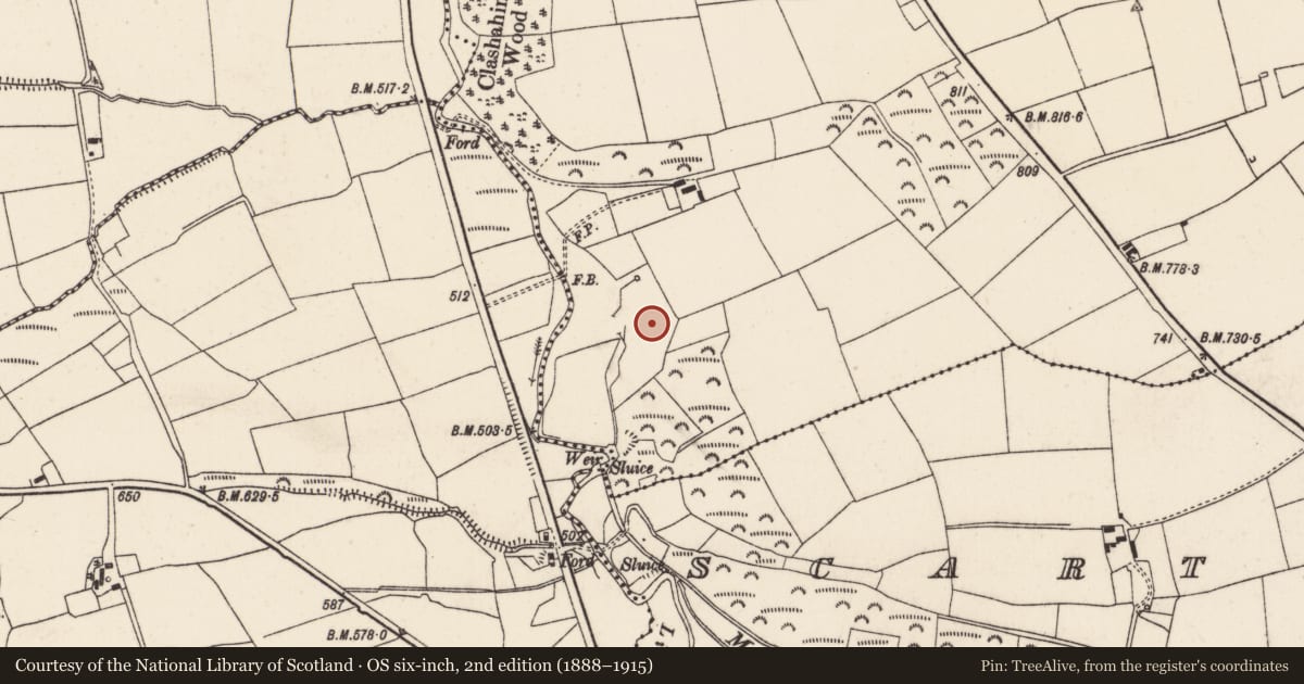 Ordnance Survey six-inch map, 2nd edition (1888–1915) covering the location of Fulacht fia, Scarteen Upper, County Cork, with a pin at the register's coordinates