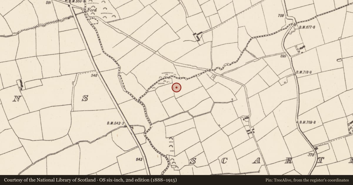 Ordnance Survey six-inch map, 2nd edition (1888–1915) covering the location of Burial ground, Scarteen Upper, County Cork, with a pin at the register's coordinates