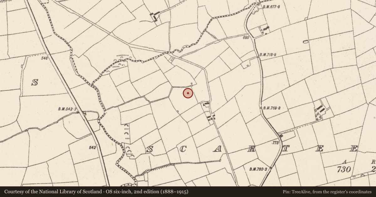 Ordnance Survey six-inch map, 2nd edition (1888–1915) covering the location of Fulacht fia, Scarteen Upper, County Cork, with a pin at the register's coordinates