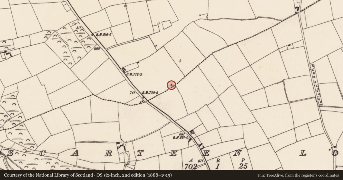 Ordnance Survey six-inch map, 2nd edition (1888–1915) covering the location of Ringfort - rath, Scarteen Upper, County Cork, with a pin at the register's coordinates