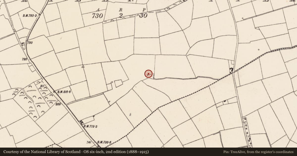 Ordnance Survey six-inch map, 2nd edition (1888–1915) covering the location of Fulacht fia, Scarteen Upper, County Cork, with a pin at the register's coordinates