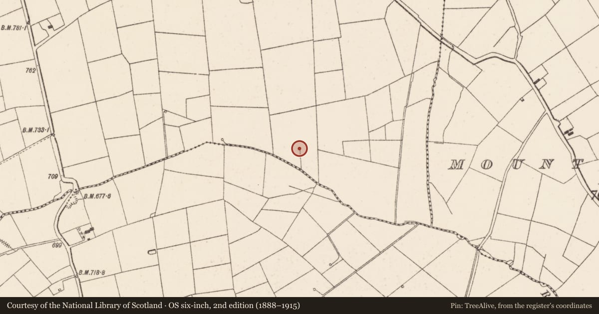 Ordnance Survey six-inch map, 2nd edition (1888–1915) covering the location of Fulacht fia, Knockduff Lower (Duhallow By., Clonfert Par.), County Cork, with a pin at the register's coordinates