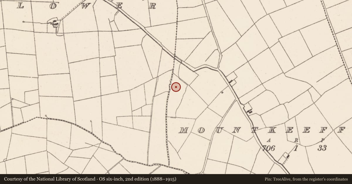 Ordnance Survey six-inch map, 2nd edition (1888–1915) covering the location of Fulacht fia, Mountkeeffe, County Cork, with a pin at the register's coordinates