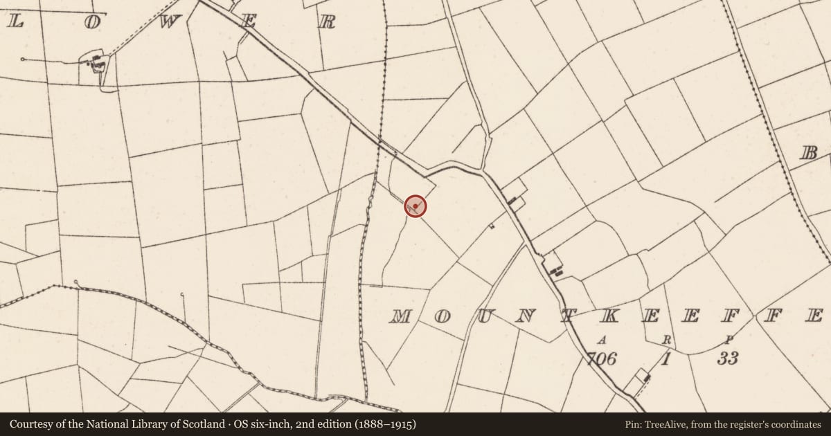 Ordnance Survey six-inch map, 2nd edition (1888–1915) covering the location of Fulacht fia, Mountkeeffe, County Cork, with a pin at the register's coordinates