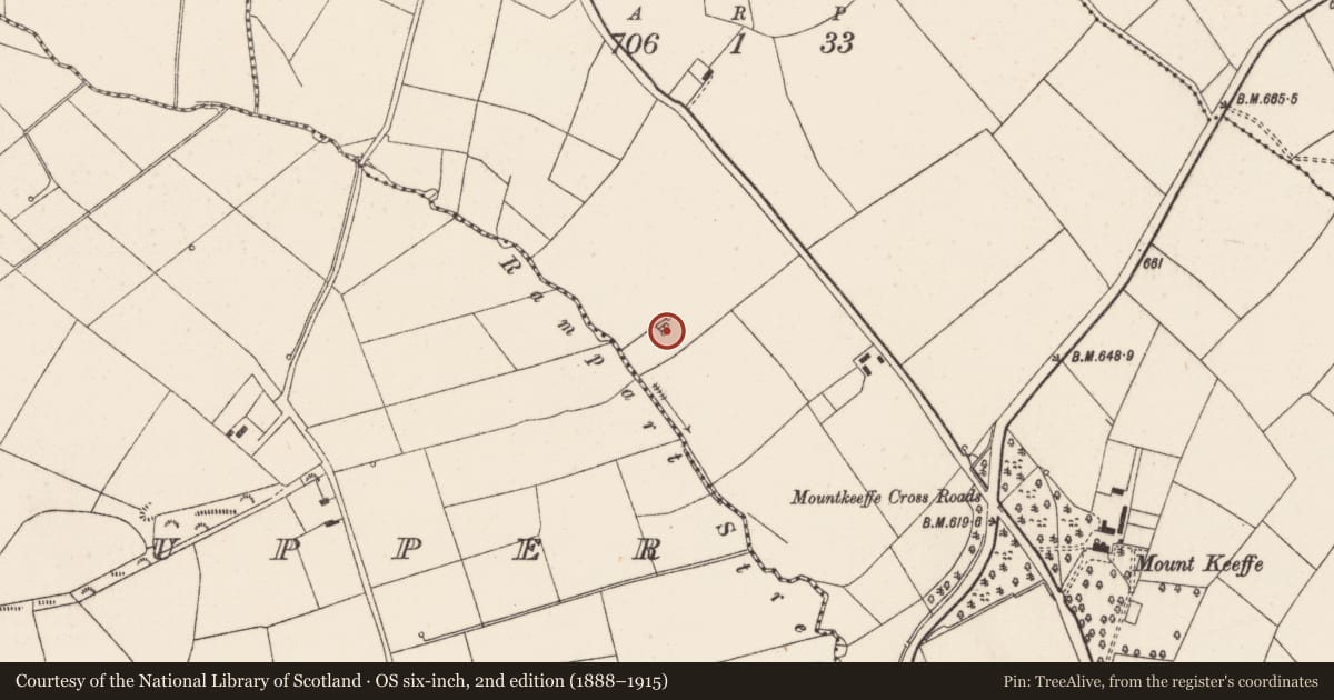 Ordnance Survey six-inch map, 2nd edition (1888–1915) covering the location of Fulacht fia, Mountkeeffe, County Cork, with a pin at the register's coordinates