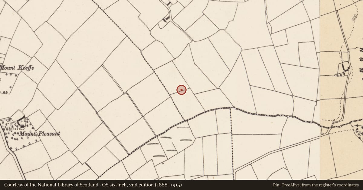 Ordnance Survey six-inch map, 2nd edition (1888–1915) covering the location of Fulacht fia, Barleyhill, County Cork, with a pin at the register's coordinates