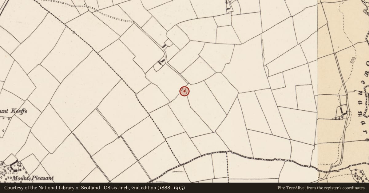 Ordnance Survey six-inch map, 2nd edition (1888–1915) covering the location of Fulacht fia, Barleyhill, County Cork, with a pin at the register's coordinates