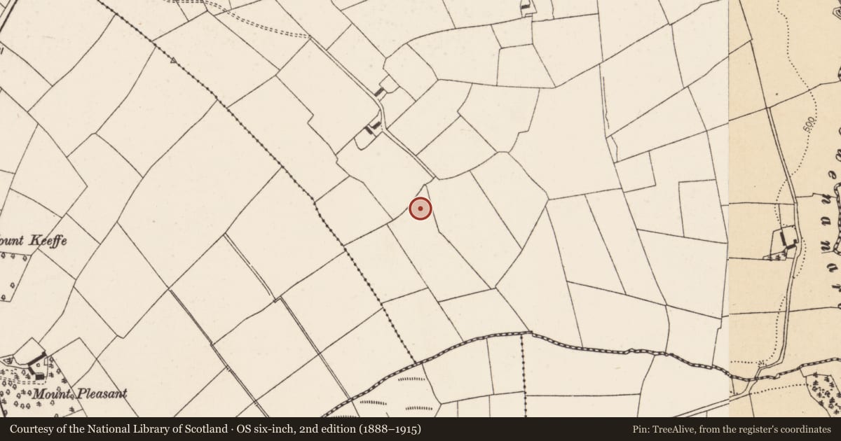 Ordnance Survey six-inch map, 2nd edition (1888–1915) covering the location of Fulacht fia, Barleyhill, County Cork, with a pin at the register's coordinates
