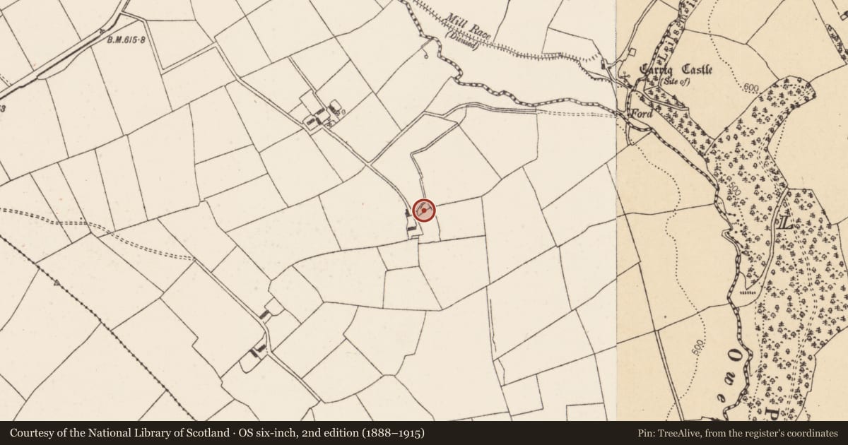 Ordnance Survey six-inch map, 2nd edition (1888–1915) covering the location of Fulacht fia, Barleyhill, County Cork, with a pin at the register's coordinates