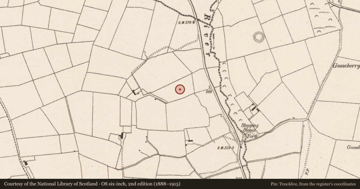Ordnance Survey six-inch map, 2nd edition (1888–1915) covering the location of Fulacht fia, Barleyhill, County Cork, with a pin at the register's coordinates