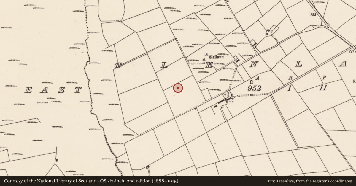 Ordnance Survey six-inch map, 2nd edition (1888–1915) covering the location of Ringfort - rath, Glenlara, County Cork, with a pin at the register's coordinates