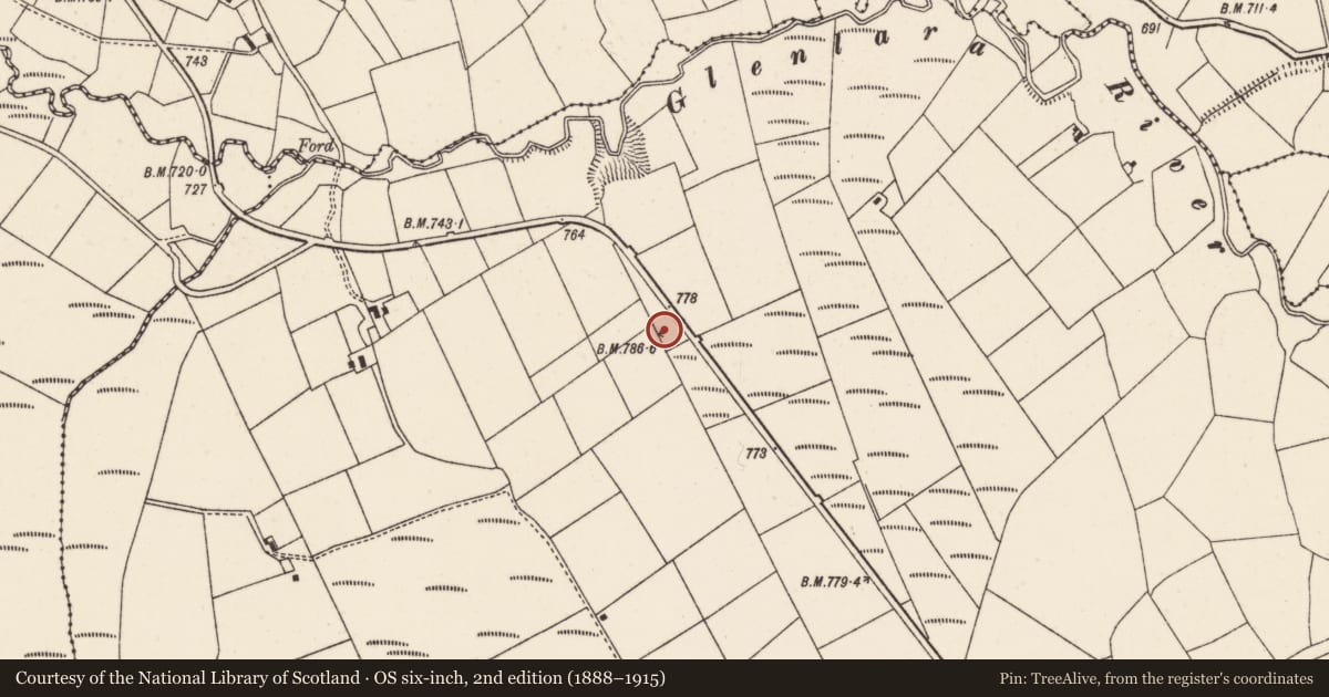 Ordnance Survey six-inch map, 2nd edition (1888–1915) covering the location of Stone row, Glenlara, County Cork, with a pin at the register's coordinates