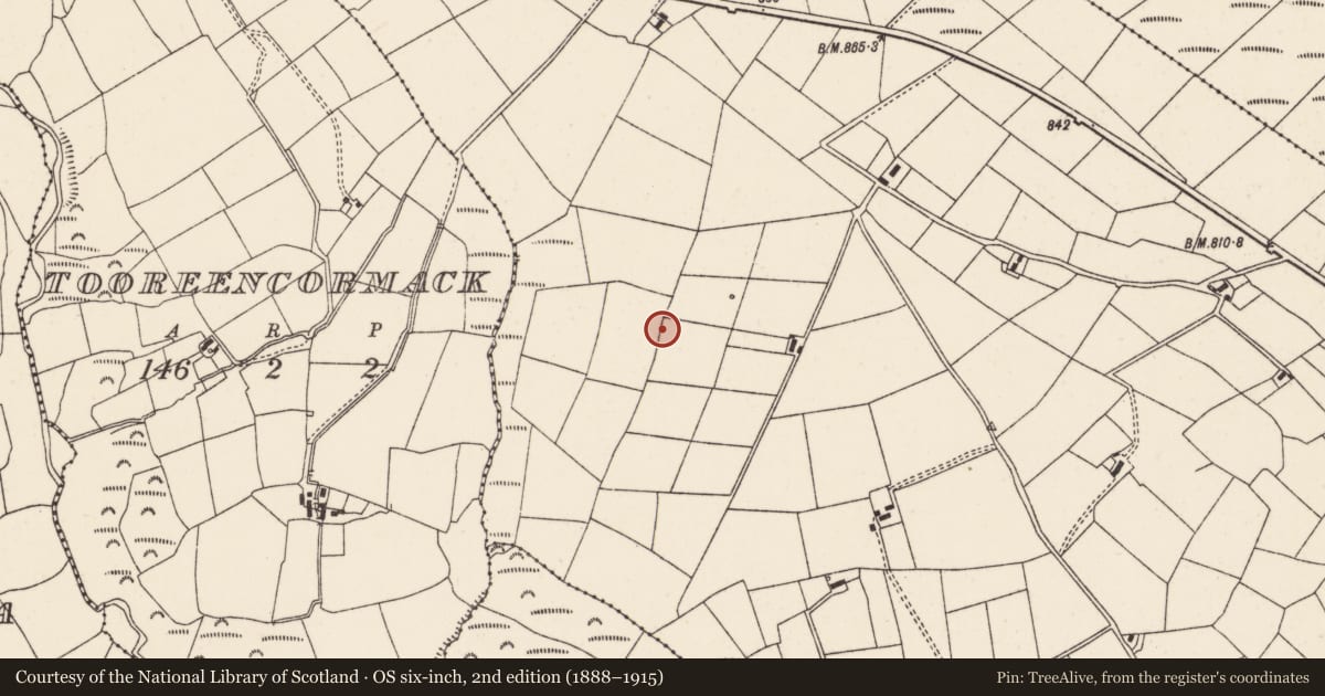 Ordnance Survey six-inch map, 2nd edition (1888–1915) covering the location of Fulacht fia, Commons South, County Cork, with a pin at the register's coordinates
