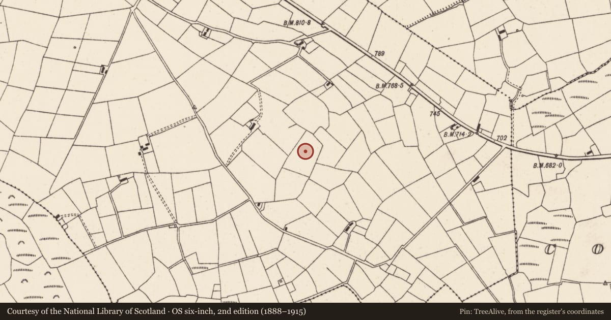 Ordnance Survey six-inch map, 2nd edition (1888–1915) covering the location of Fulacht fia, Commons South, County Cork, with a pin at the register's coordinates