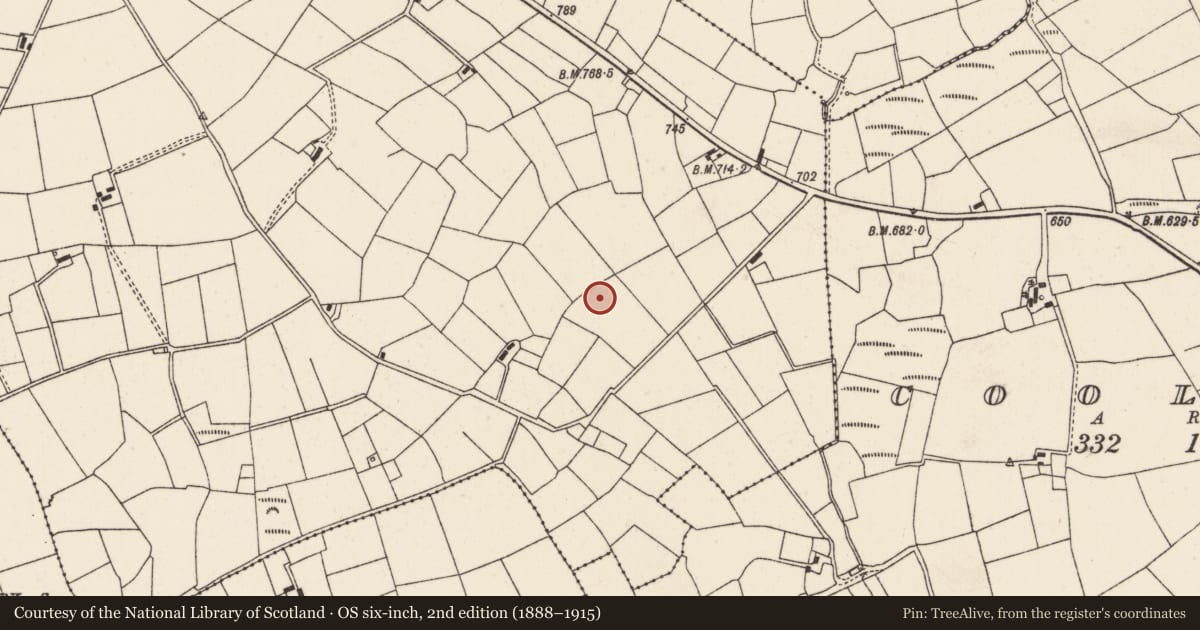 Ordnance Survey six-inch map, 2nd edition (1888–1915) covering the location of Fulacht fia, Commons South, County Cork, with a pin at the register's coordinates