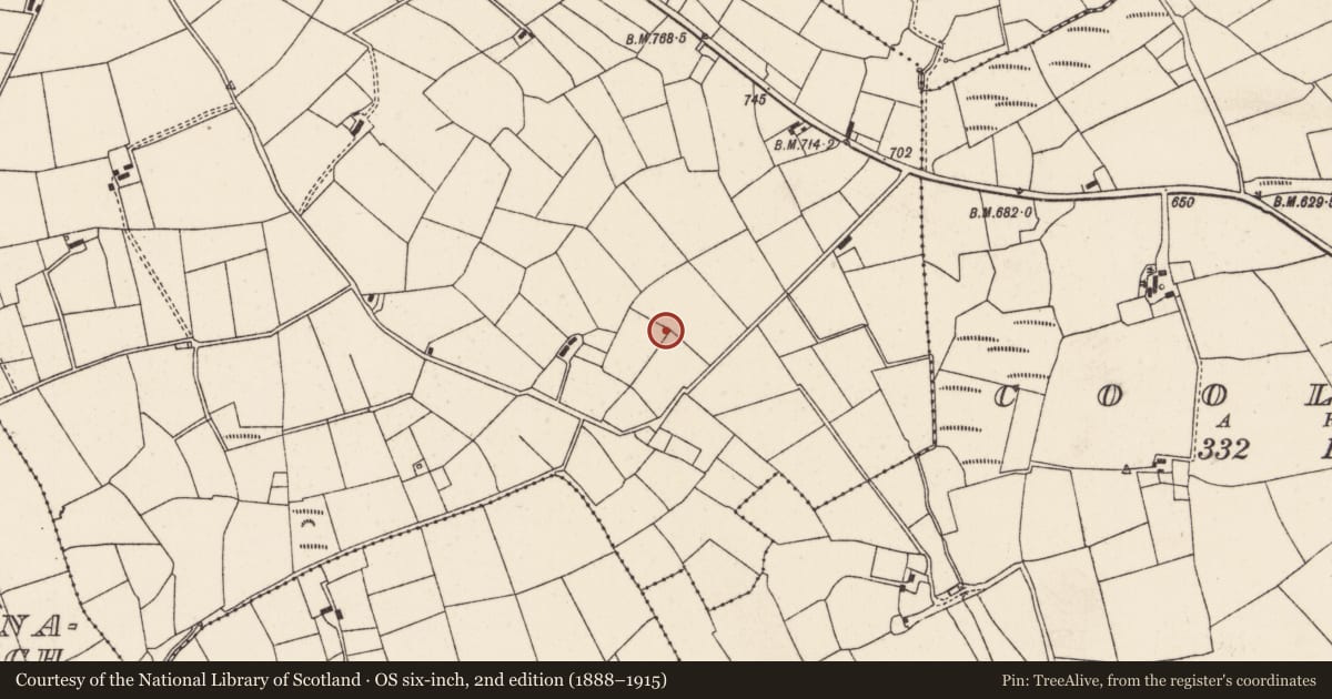 Ordnance Survey six-inch map, 2nd edition (1888–1915) covering the location of Fulacht fia, Commons South, County Cork, with a pin at the register's coordinates