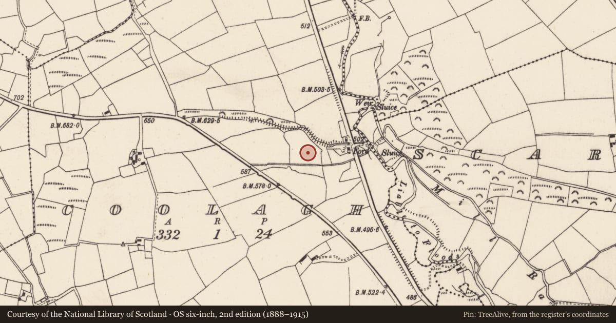 Ordnance Survey six-inch map, 2nd edition (1888–1915) covering the location of Fulacht fia, Coolagh, County Cork, with a pin at the register's coordinates